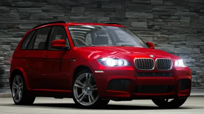 BMW X5M 2010 (3)