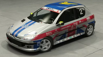 Peugeot-206-RPS-206-GTi-Cup-SCREEN-4