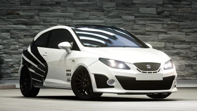 Seat İbiza Cupra (3)